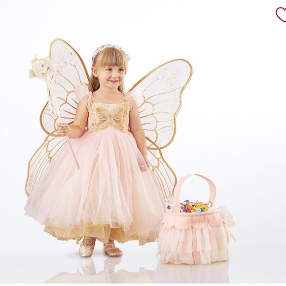 Pottery Barn Kids Other - POTTERY BARN KIDS Butterfly Fairy Pink Costume in size 3T